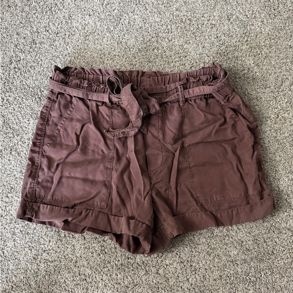Aerie Brown Cargo Shorts with Tie Belt